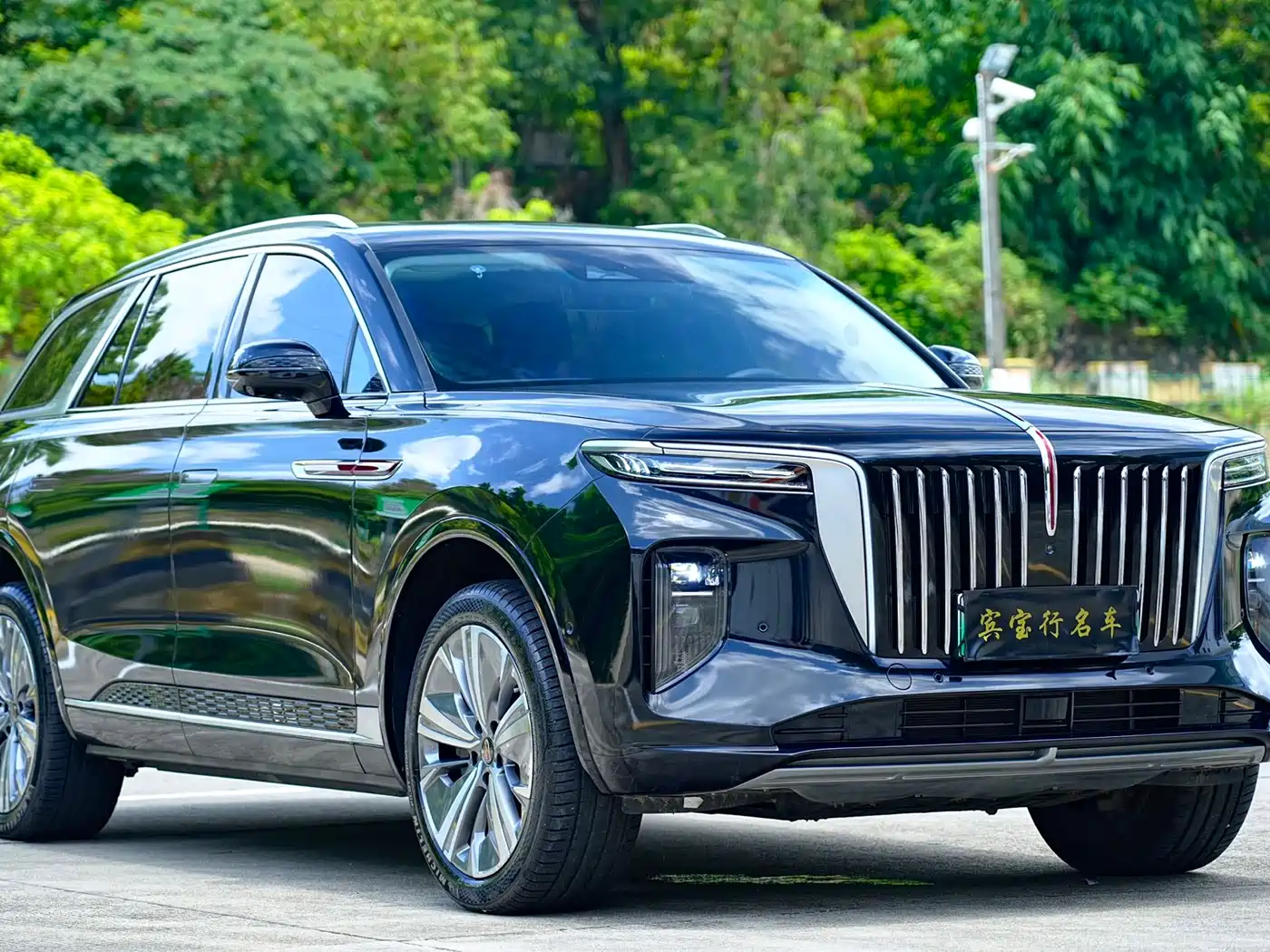 Hongqi E-HS9 2023 2022 660km Qi Chang Edition (6-seater)