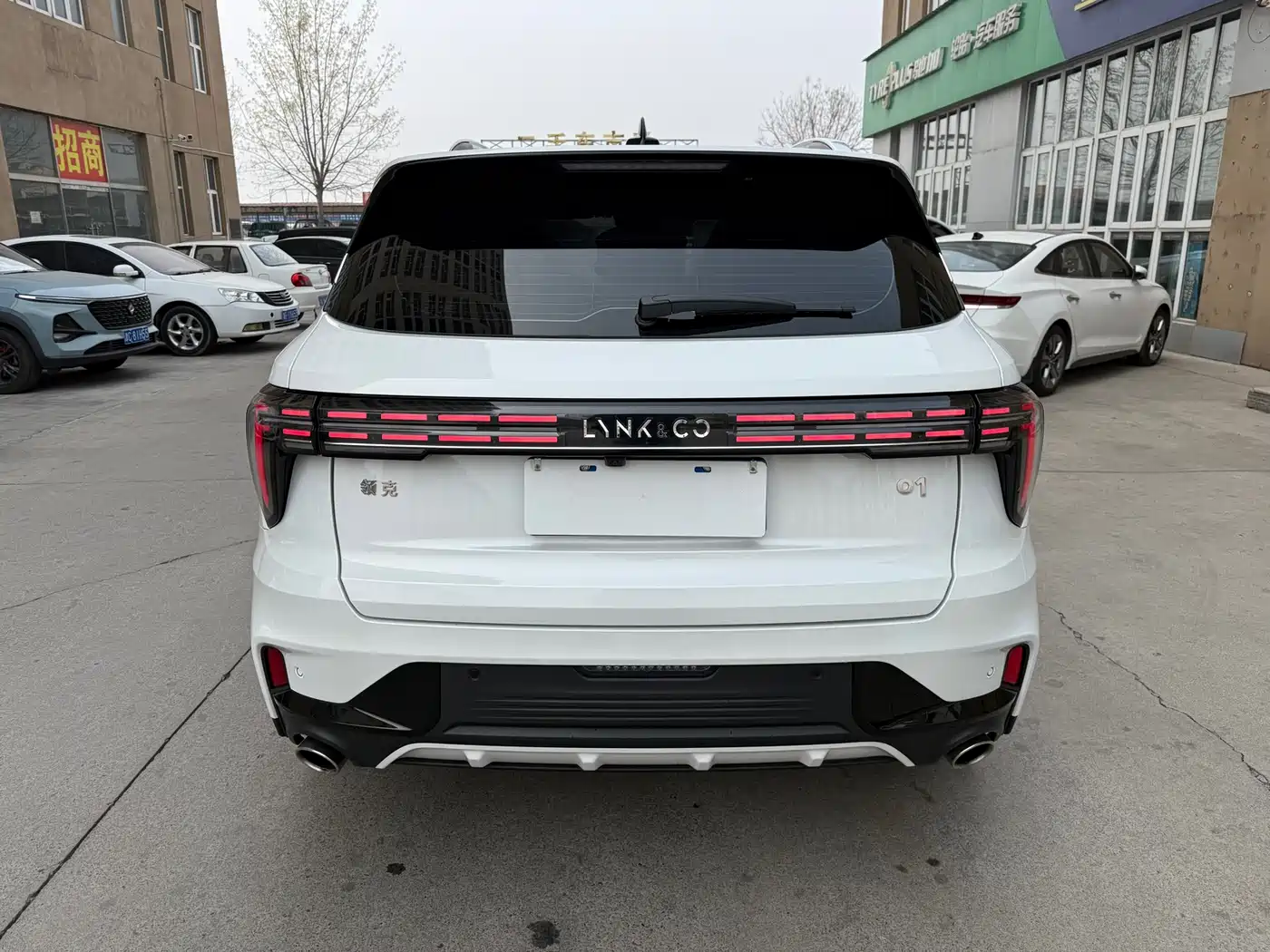 LYNK 01