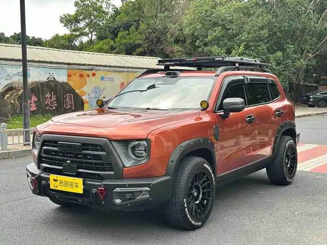  Haval Haval Big Dog 2024 2.0T DCT Chinese Rural Dog Edition