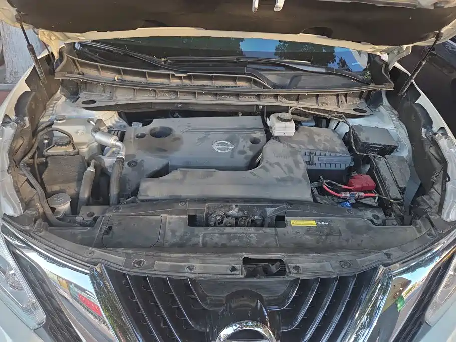 Nissan Murano 2021 2021 2.5L XE 2WD Elite Edition