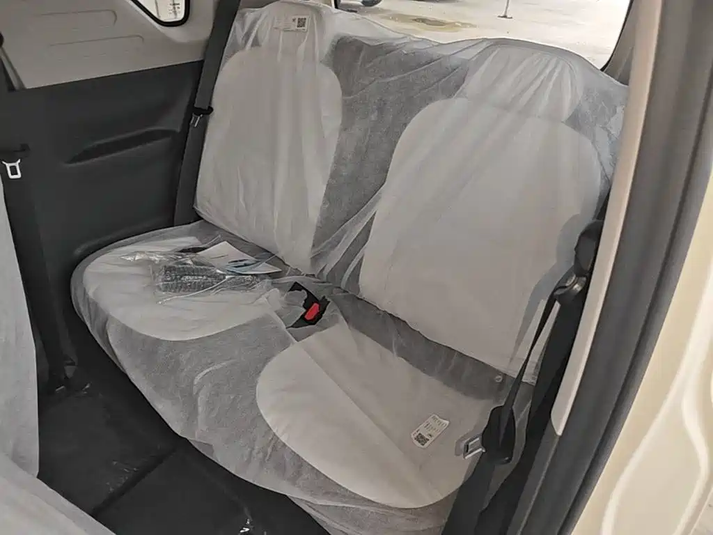 Geely Galaxy Panda 2026 2025 Panda mini 210km Vitality Bear