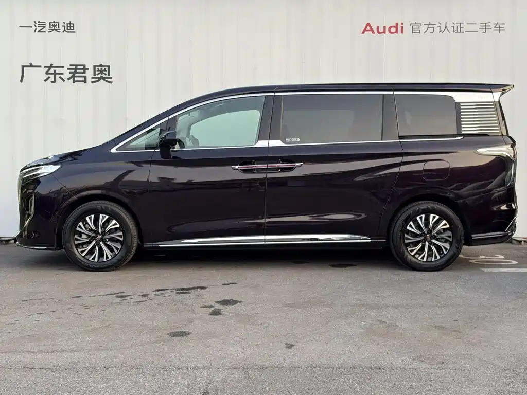 Hongqi HQ9 2024 2024 Model 2.0T Luxury Edition