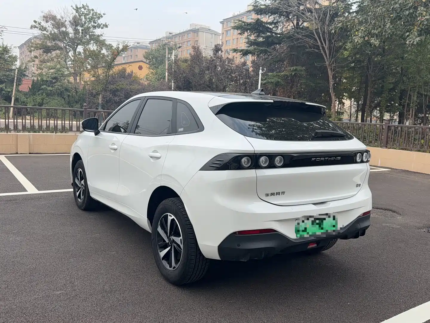 Фото 6 - Dongfeng Fengxing Fengxing Thunder