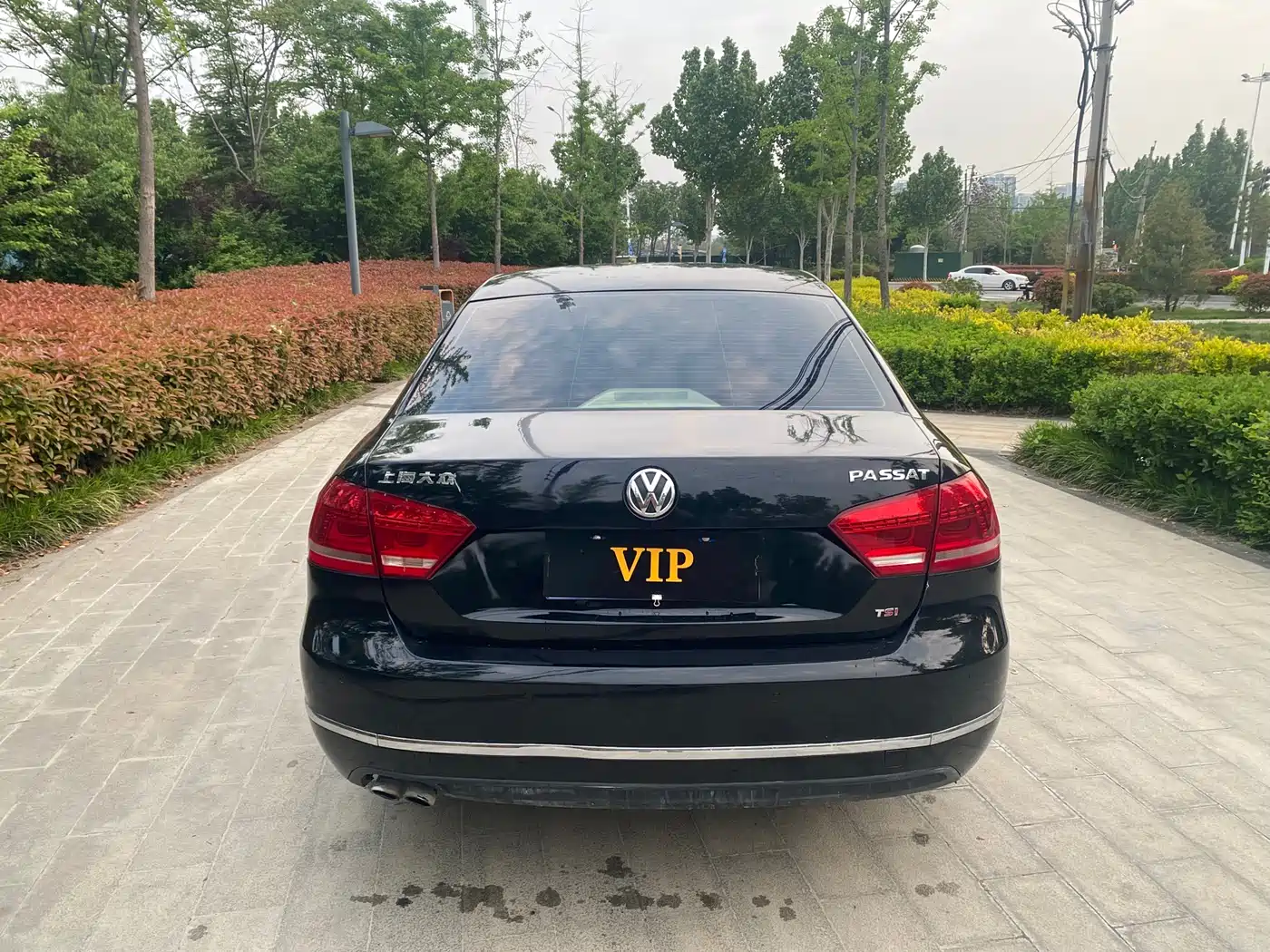 Volkswagen Passat 2013 1.8TSI DSG Government Procurement Edition фото 12