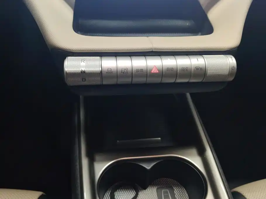 BYD Dolphin 2026 2025 420km Freedom Edition