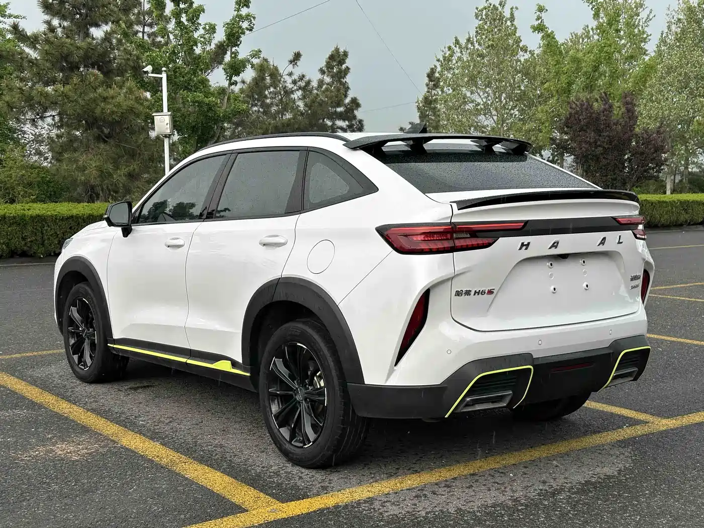 HAVAL H6S