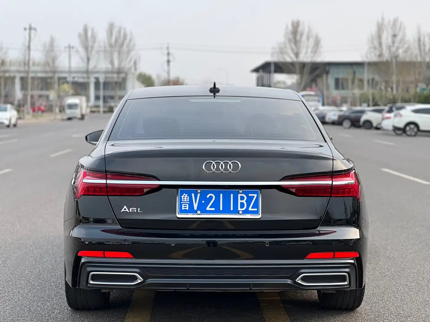 Audi A6L 2021 40 TFSI Luxury Sport фото 5