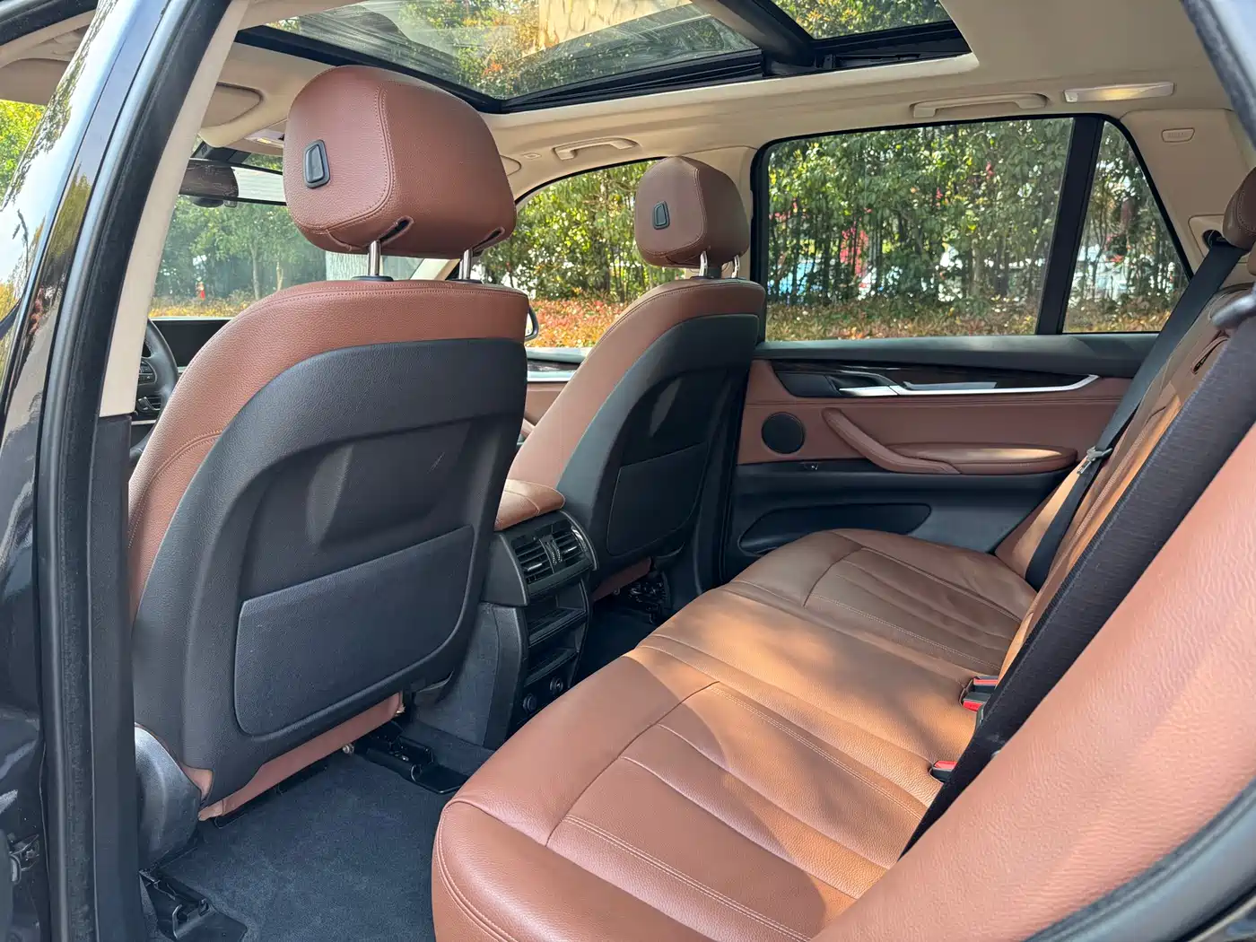 BMW X5 (Import) 2014 xDrive35i Leading фото 7