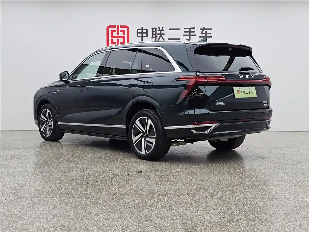 WEI PAI WEI BRAND BLUE MOUNTAIN