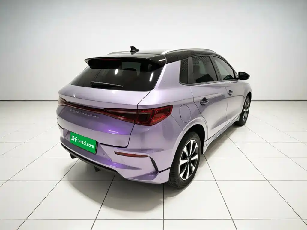 BYD e2 2023 2023 Luxury Model