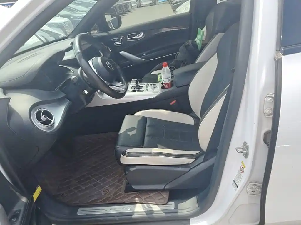 Denza X 2020 2020 PHEV Sport Edition