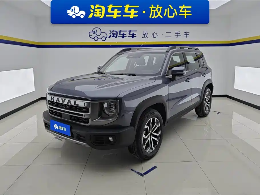 Haval Big Dog 2024 1.5T DCT Border Collie Edition