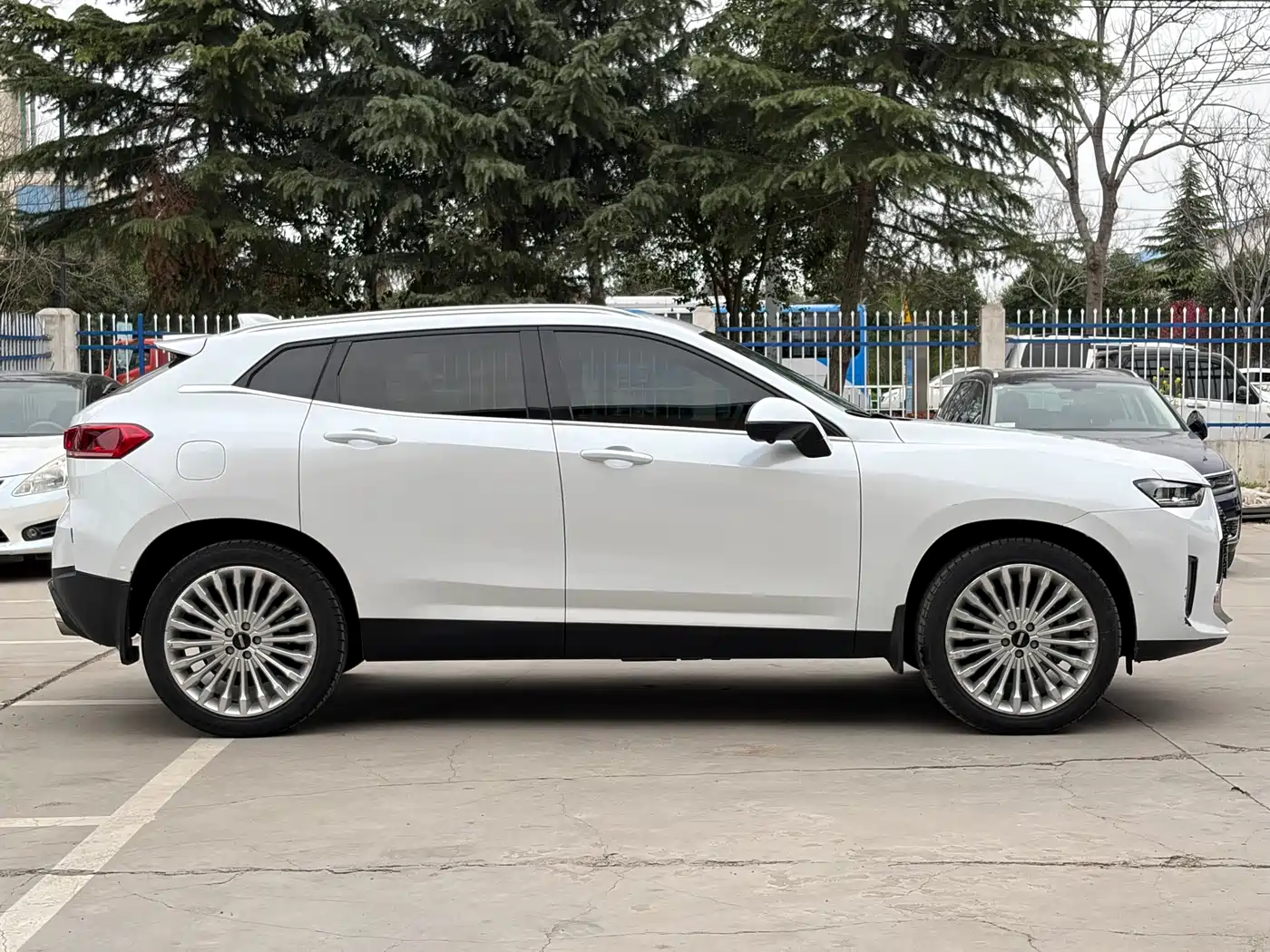 WEI PAI WEI BRAND P8