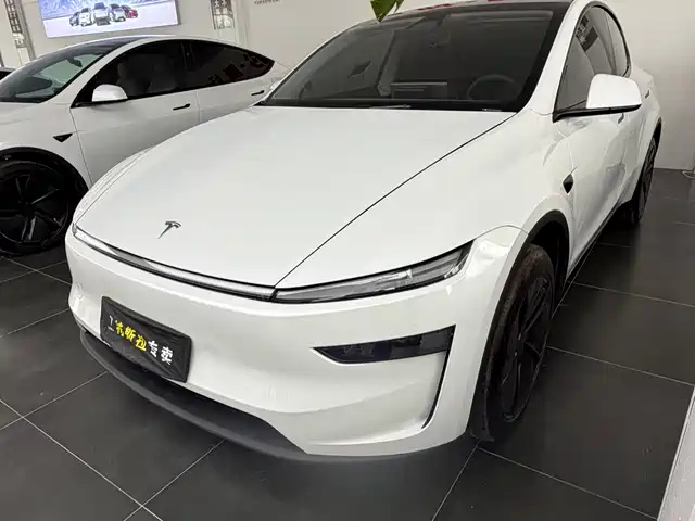 Tesla Model Y 2024 Rear-Wheel Drive Version