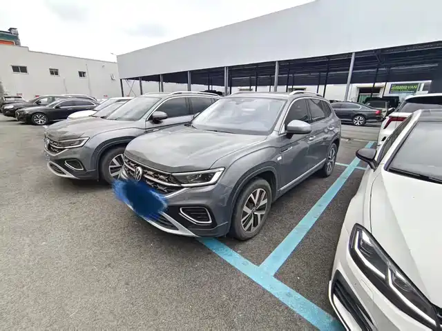 VOLKSWAGEN TANYUE