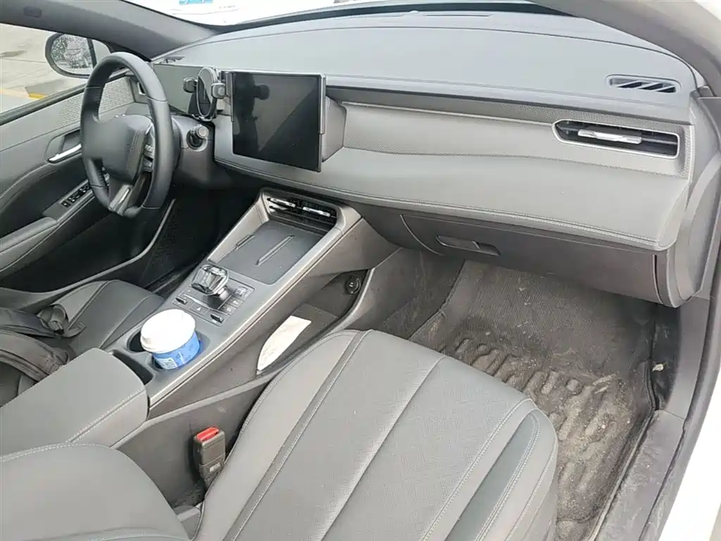BYD Qin PLUS 2025 DM-i Smart Drive 55KM Leader фото 10