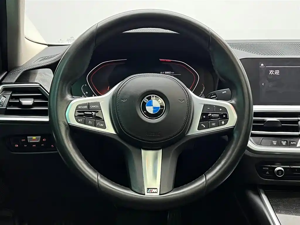 BMW 3 Series 2020 325Li M Sport Package фото 20