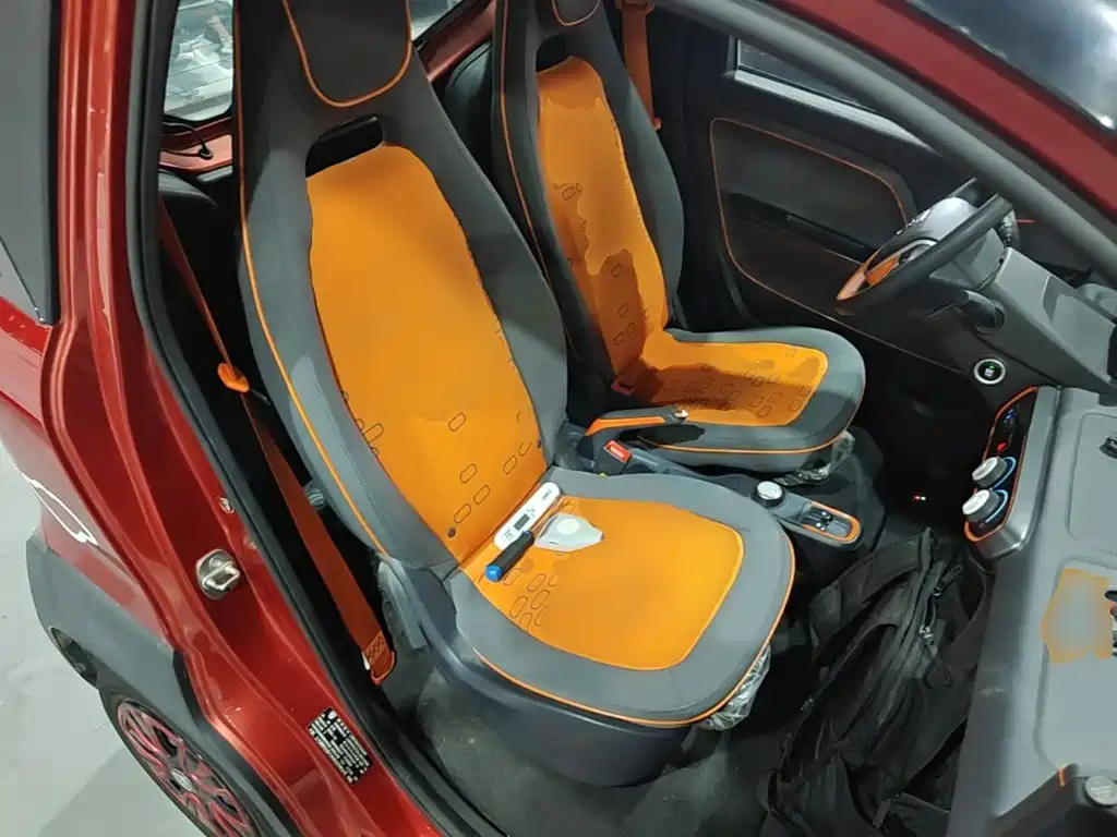 Baojun E100 2020 2020 305KM Intelligent Joy Edition