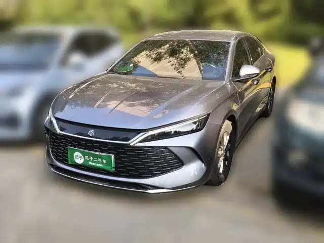 BYD Qin L DM-i 80KM, Лидер