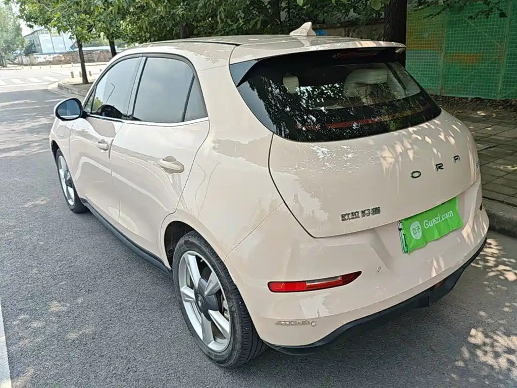 Ora Good Cat 2024 2023 401km Standard Range Luxury LFP