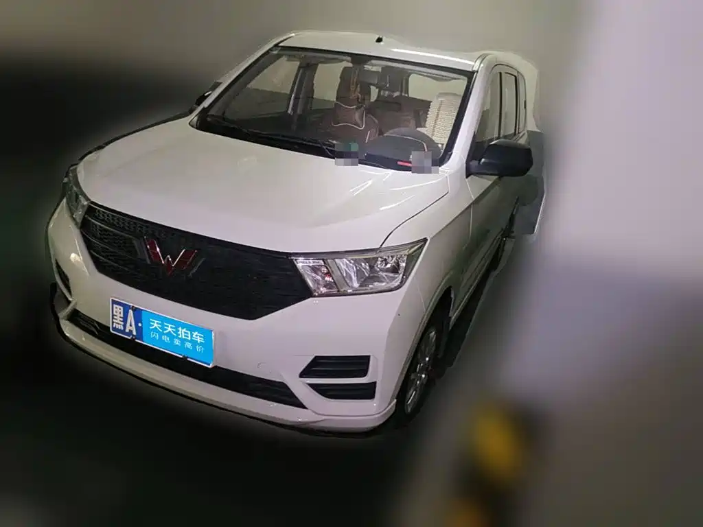 2024 Wuling Motors Wuling Hongguang