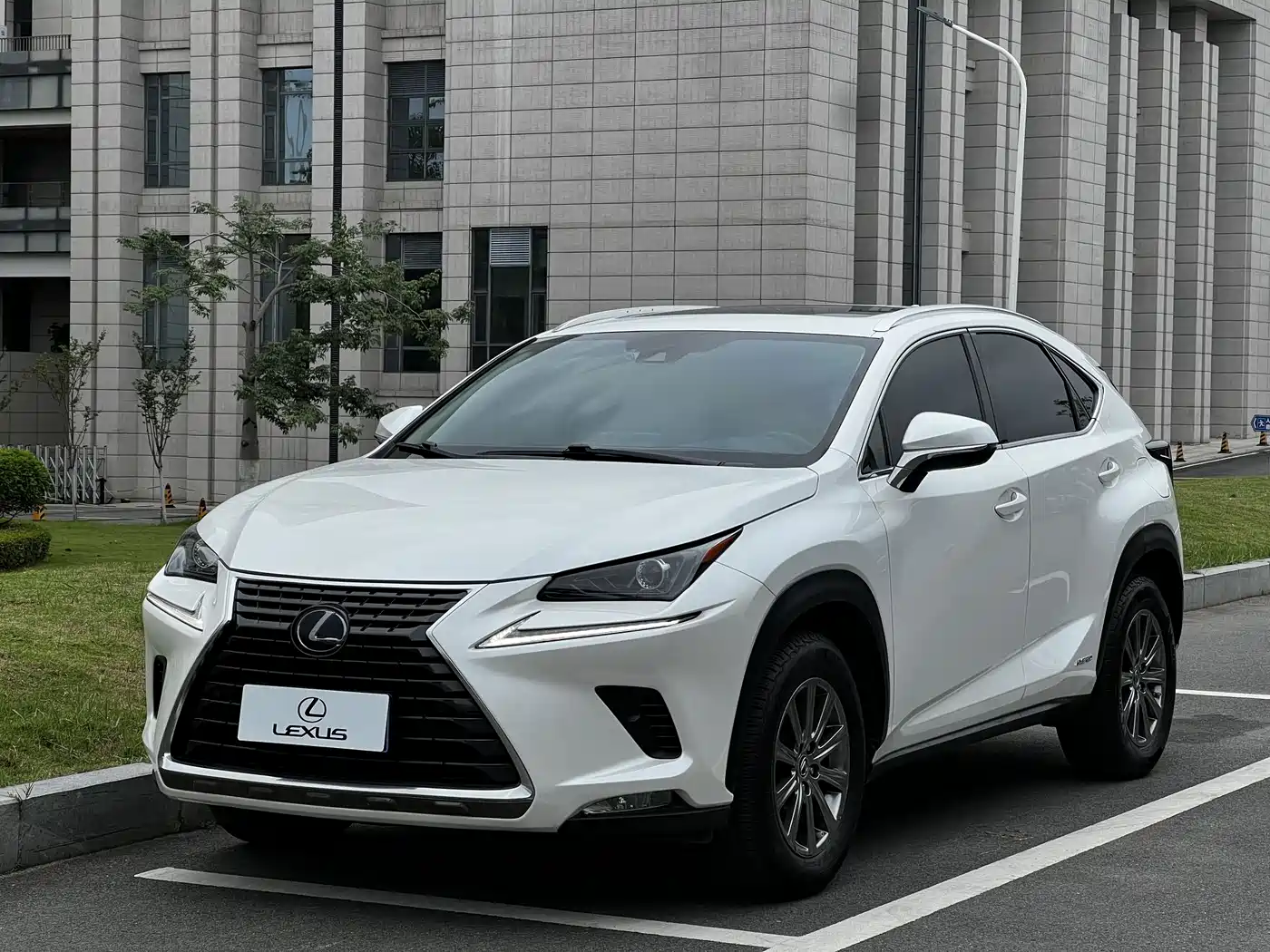 Lexus NX 2020 300h FWD F Sport China V