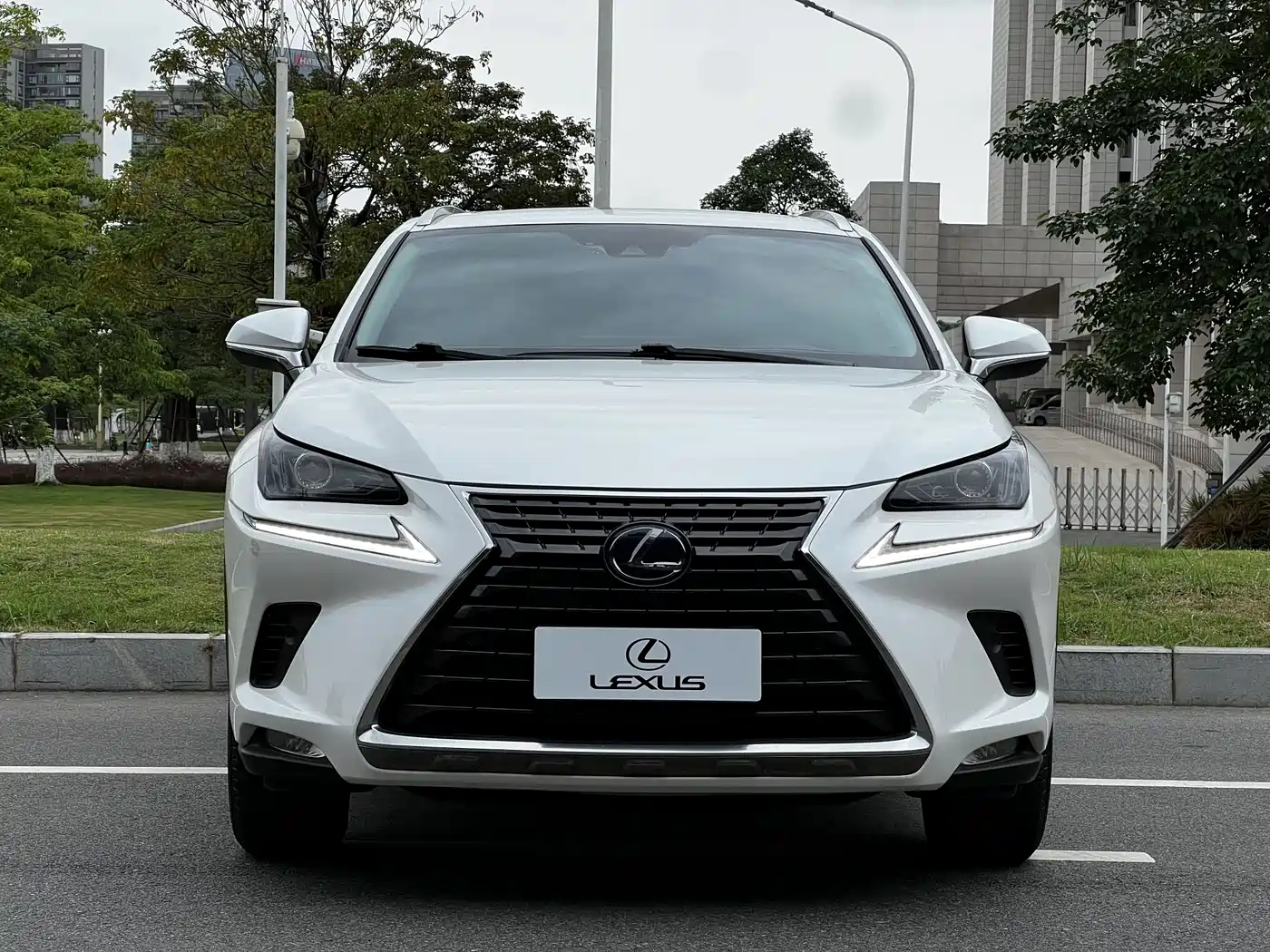 Lexus NX 2020 300h FWD F Sport China V фото 3