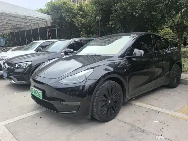 Tesla Model Y 2024