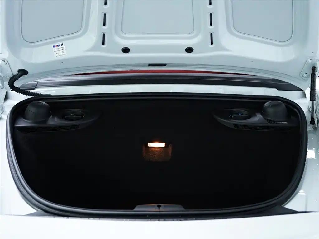 Porsche 718 2022 Boxster 2.0T фото 34