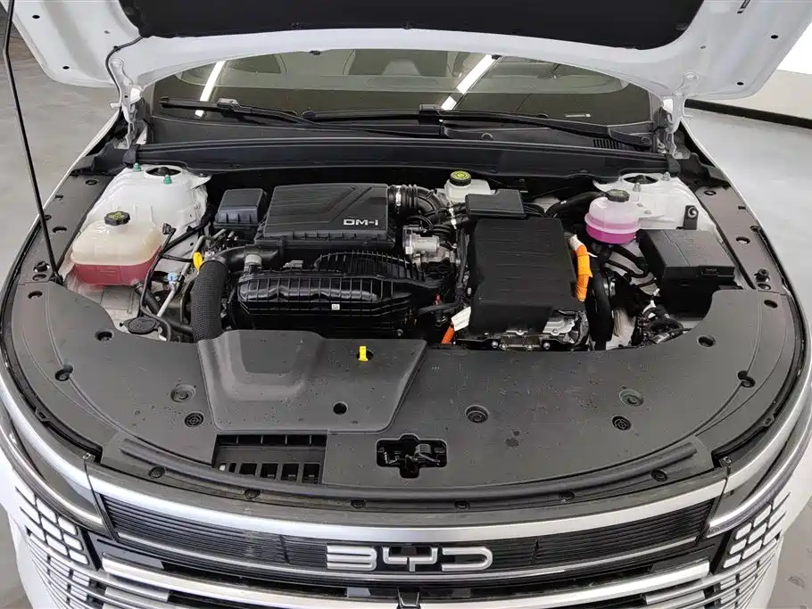 BYD Destroyer 05 2024 Glory Edition DM-i 55KM Luxury фото 10