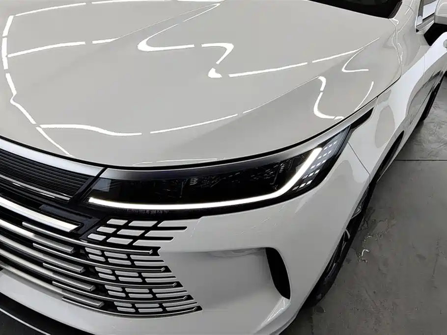 BYD Destroyer 05 2024 Glory Edition DM-i 55KM Luxury фото 5