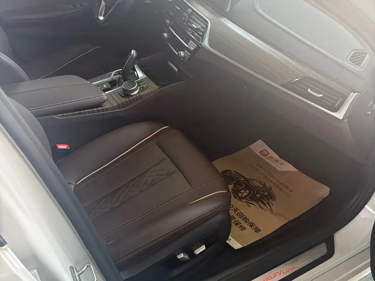 BMW 5 Series 2019 530Li Leading Luxury Package фото 7