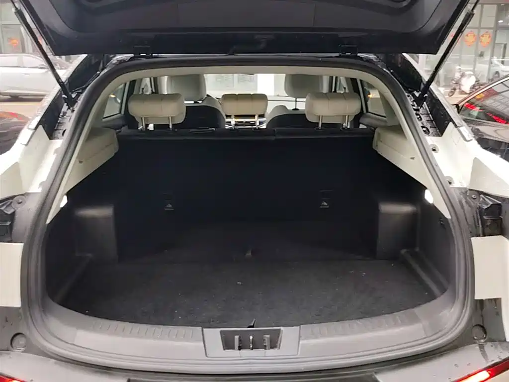 Chery New Energy Chery Comfort Home 2024 2024 512km Joyride Edition