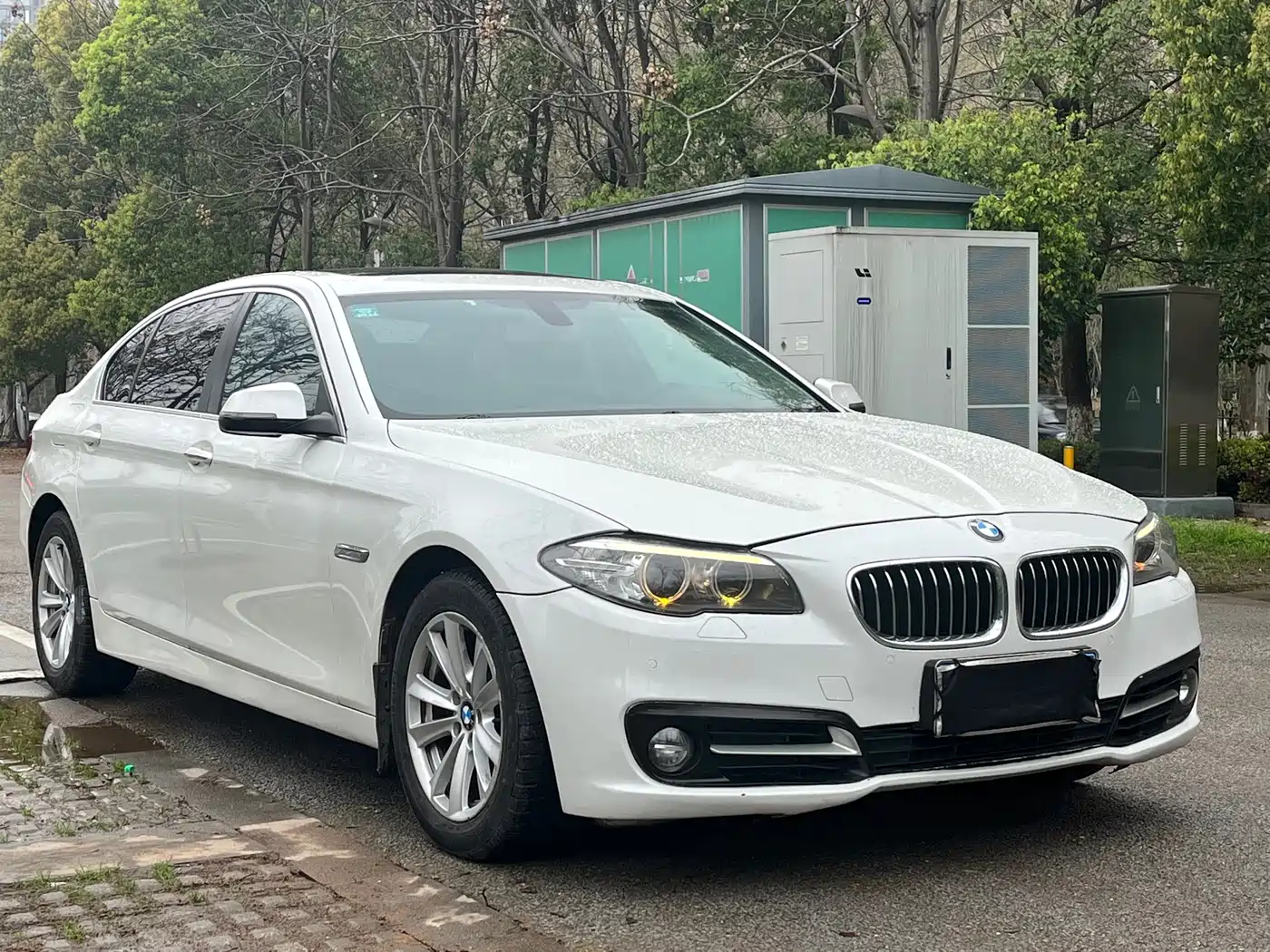 BMW 5 Series 2014 525Li Leading фото 3