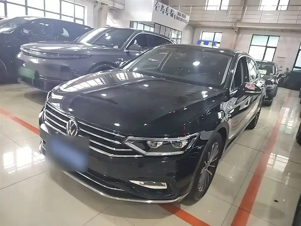 Volkswagen Magotan 2020 330TSI DSG Luxury