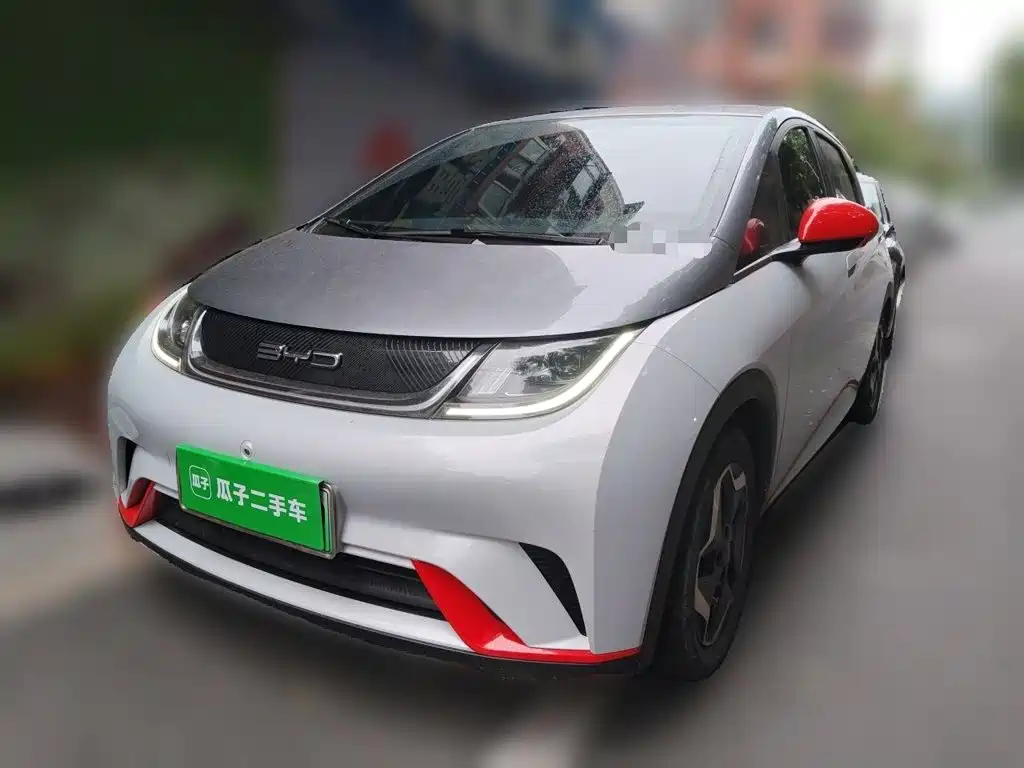 BYD Dolphin 2021 405km Freedom Edition
