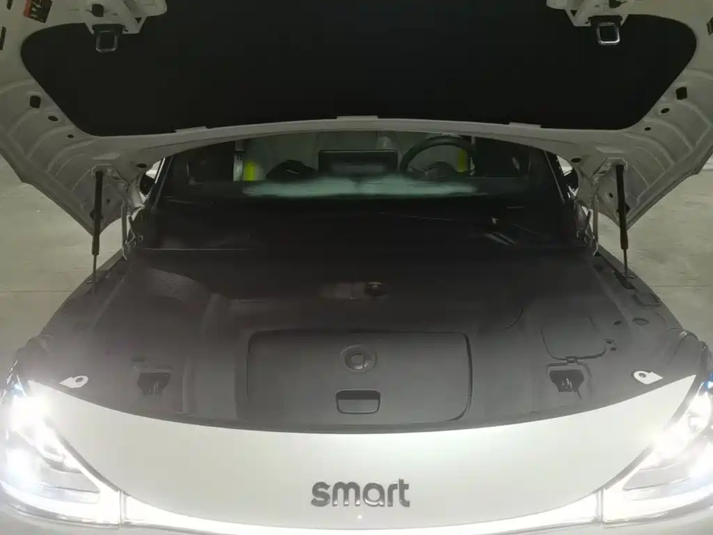 Фото 20 - smart Elf #1