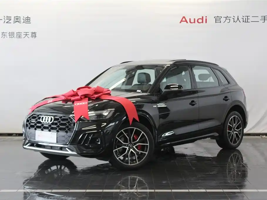 Audi Q5L 2025 45th Anniversary Edition 45 TFSI Luxury Sport фото 3