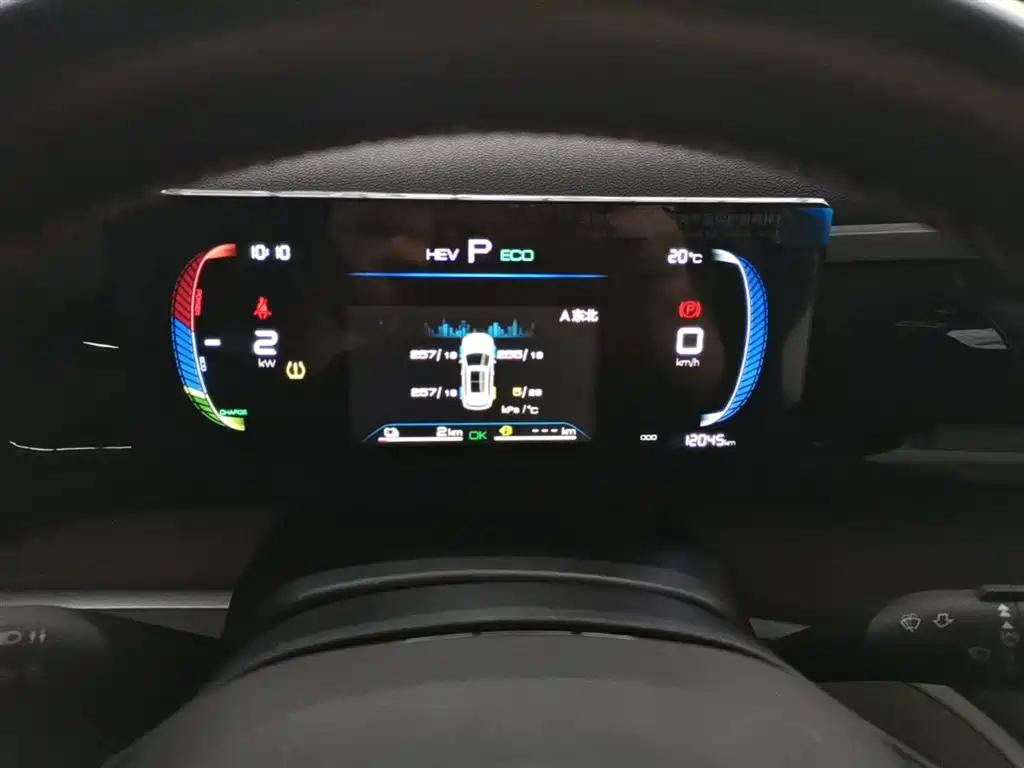 BYD Song Pro New Energy 2024 Glory Edition DM-i 71KM Pilot фото 12