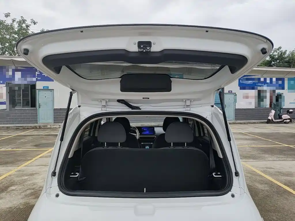 Ora White Cat 2021 2020 305km Luxury