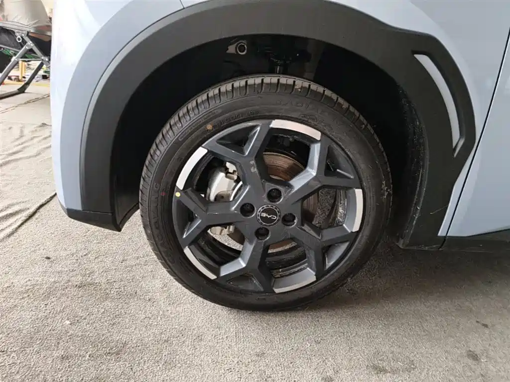 BYD Seagull 2026 2025 Smart Drive Edition 405km Free Edition