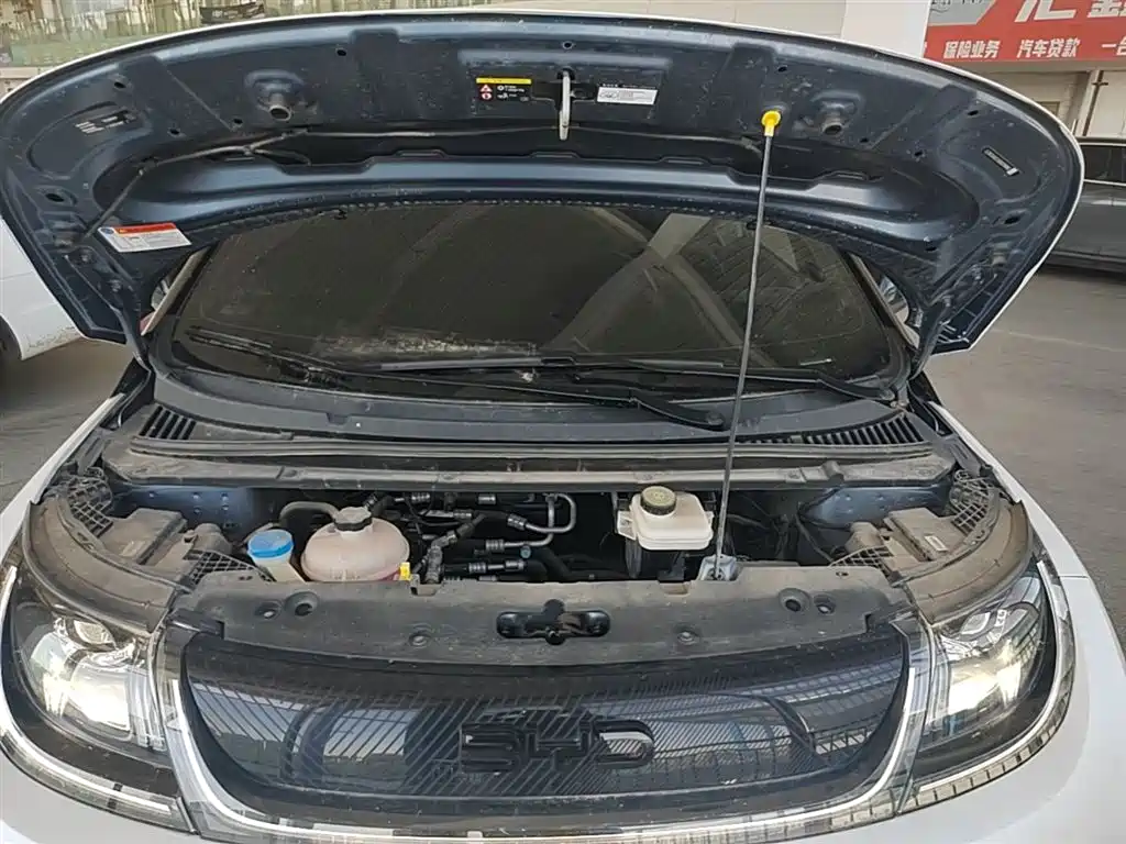 BYD Dolphin 2024 Glory Edition 420km Fashion Edition фото 16