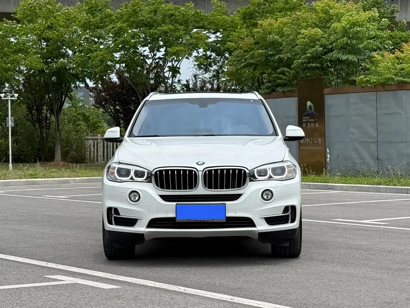 BMW X5 (Import) 2017 xDrive28i фото 2