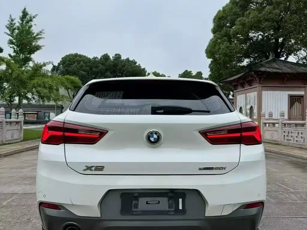 BMW X2 (Import) 2019 2019 sDrive20i M Off-Road Package China VI