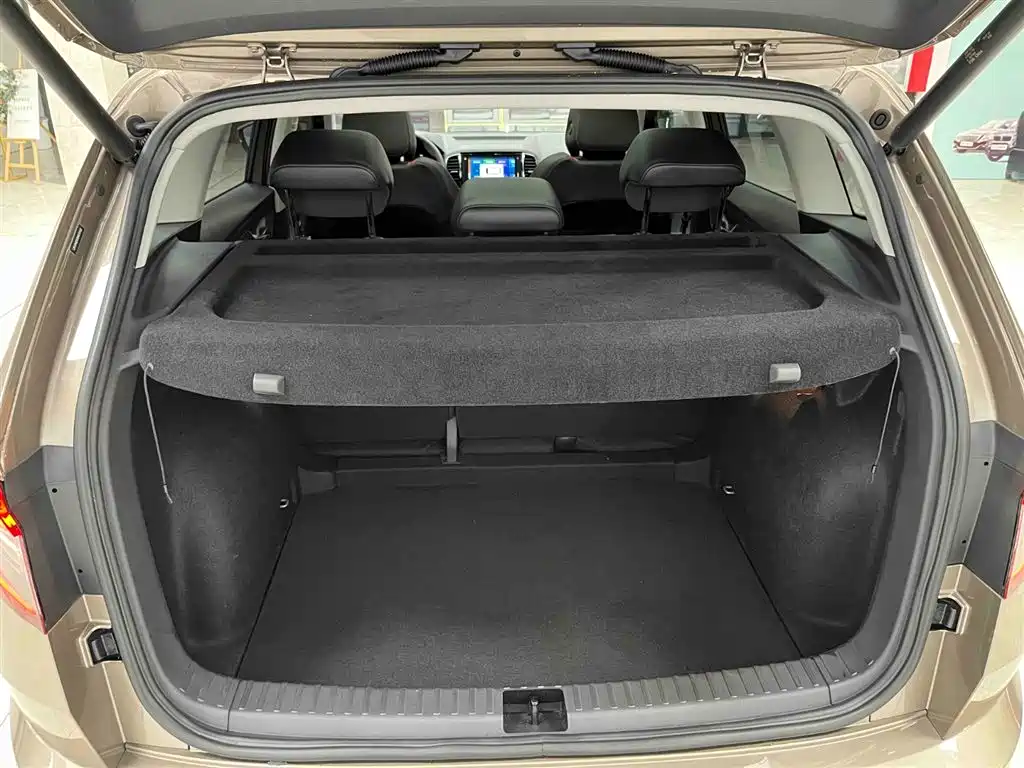 Škoda Karoq 2025 TSI280 Luxury Edition фото 16