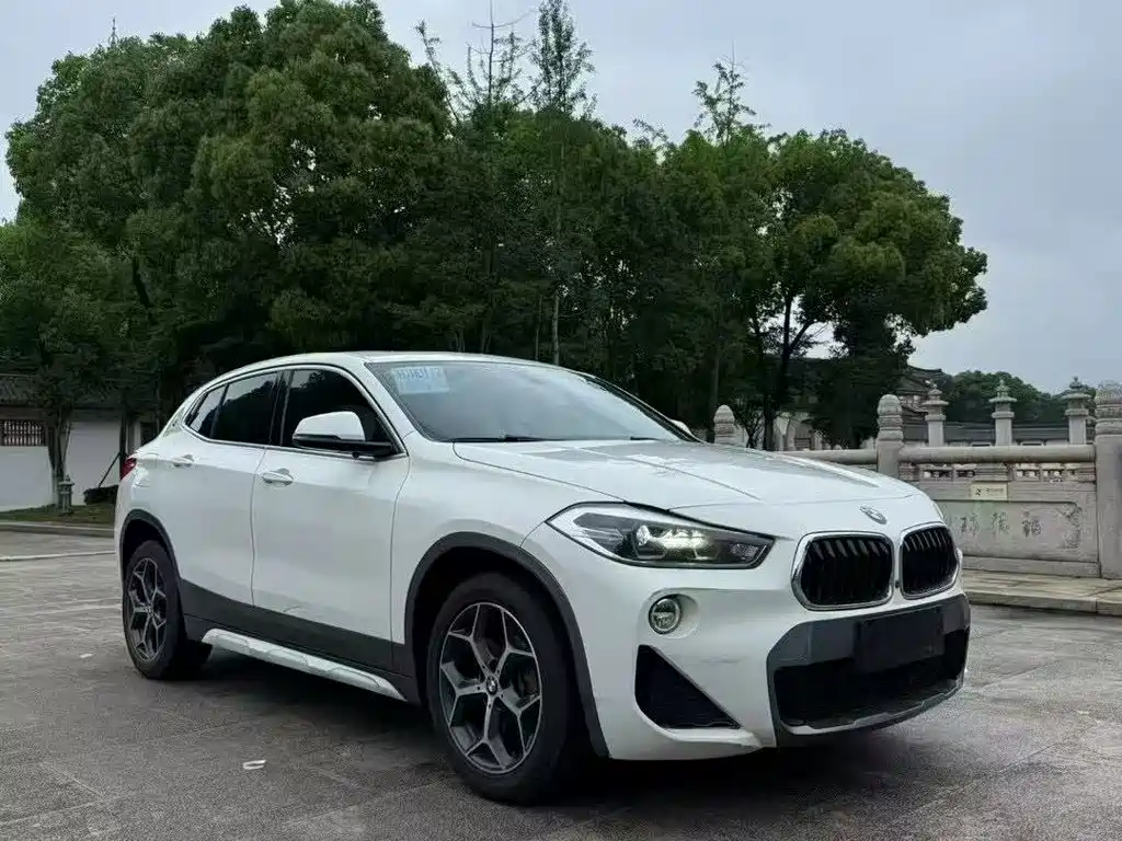 BMW X2 (Import) 2019 2019 sDrive20i M Off-Road Package China VI