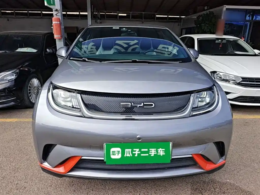 BYD Dolphin 2021 405km Freedom Edition фото 3
