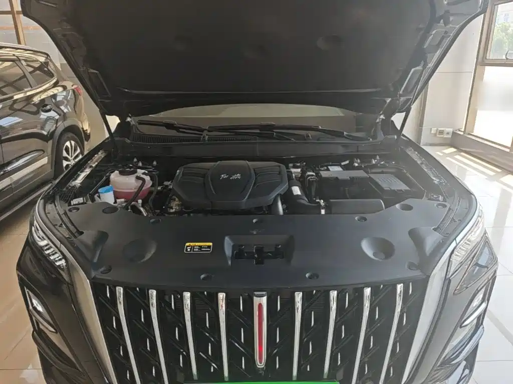 Фото 20 - Hongqi HS5