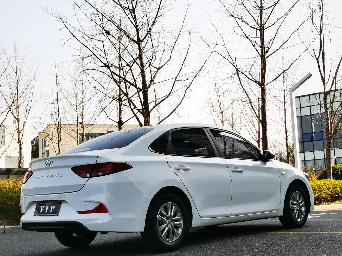 MODERN YUEDONG
