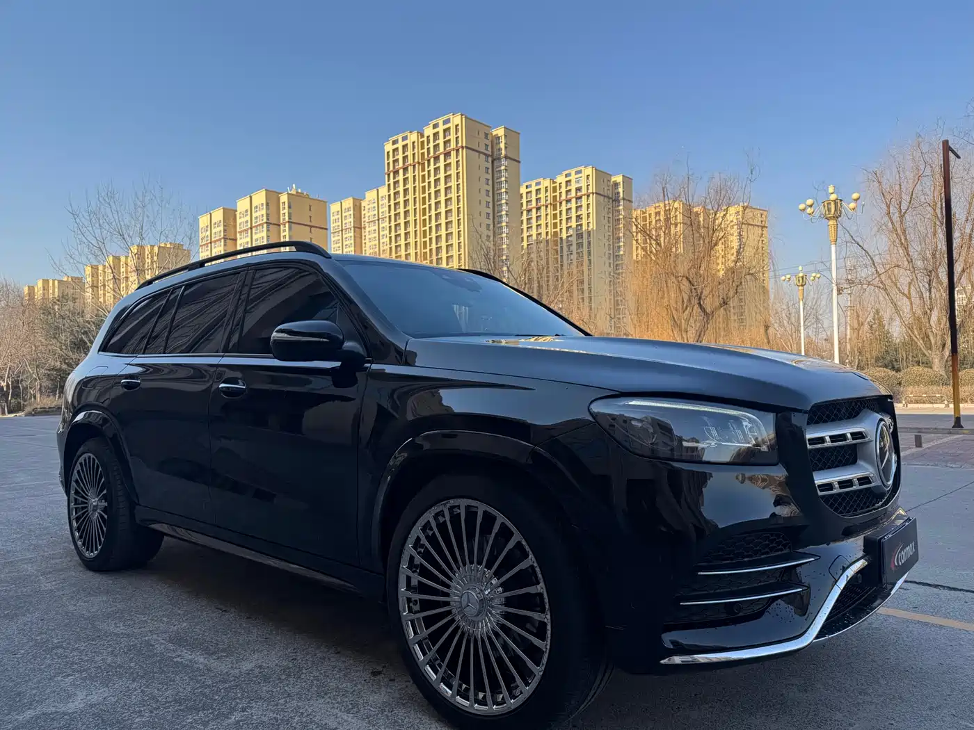 Mercedes-Benz GLS 2023 GLS 450 4MATIC Luxury Edition фото 3